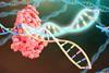 CRISPR Cas9