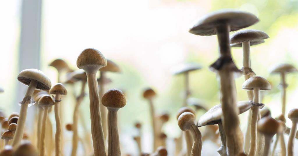 FDA launches new guidance on development of psychedelic drugs to treat medical conditions