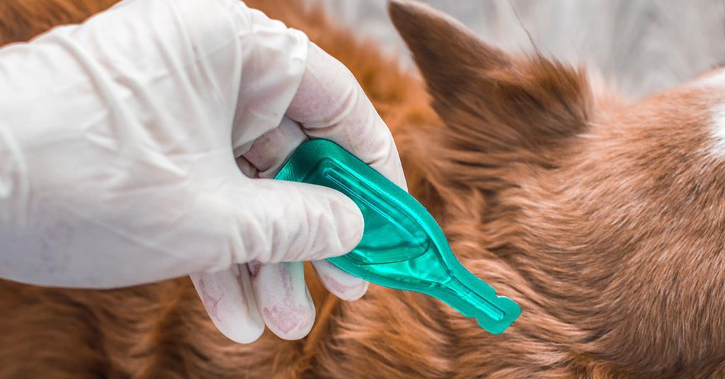 EMA activities related to antiparasitic veterinary medicinal products ...