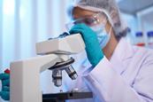 FDA pilot accelerated IND image