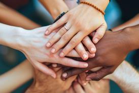 Diversity licensed image