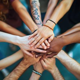 Diversity licensed image