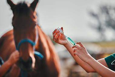 AdobeStock_617697728 (1)