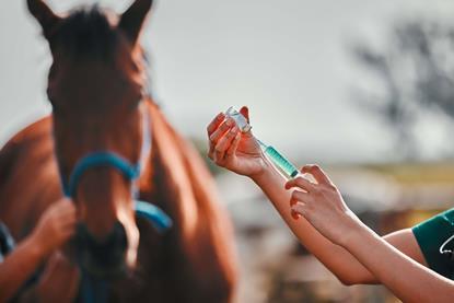 AdobeStock_617697728 (1)